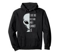 I Like Big Files And I Cannot Lie Funny Pun Pullover Hoodie