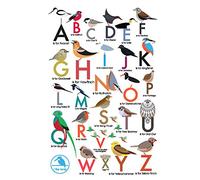 I Like Birds: An Alphabet of Birds Address Book