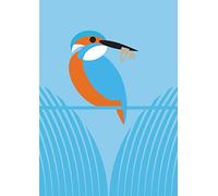 I Like Birds: River, Estuary & Shore: Boxed set of 3 bird-themed journals
