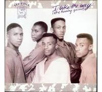 I Like the Way (The Kissing Game) [CASSETTE]