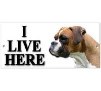 "I LIVE HERE" Boxer security warning metal sign