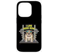 I Live Here Now Bulldog Weightlifter Case for iPhone 14 Pro