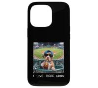 I Live Here Now Funny Pitbull Funny Baseball Field Meme Case for iPhone 13 Pro