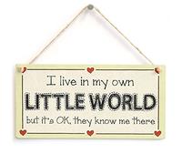 I Live in My Own Little World Hanging Sign | Little world humour