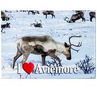 I Love Aviemore Snow Deer View Metallic Fridge Magnet