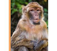 I love Barbary Apes: 2020 Weekly & Monthly Planner Large Organizer Diary with Goal Setting and Gratitude Sections (Nature and Animals)
