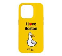 I Love Boston Case for iPhone 15 Pro