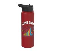 I Love Data Analytics Graphs Tech Enthusiast Stainless Steel Insulated Water Bottle