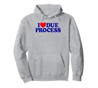 I Love Due Process Pullover Hoodie