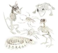 I LOVE FANCY DRESS Halloween Skeleton Animals - Pack of 6 Skeleton Bird, Rat, Frog, Snake, Spider and Crab Set - Skeletal Props Scary Creepy Halloween Horror Party Decor Trick or Treat Decorations