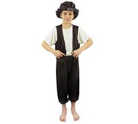 Poor Tudor Costume I Love Fancy Dress Brown Small