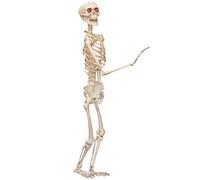I LOVE FANCY DRESS LTD 5ft Poseable Skeleton party prop. Perfect Halloween Decoration