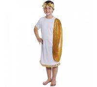 I Love Fancy Dress Men's Roman God Toga Costume in White | Size: XL I Love Fancy Dress White XL