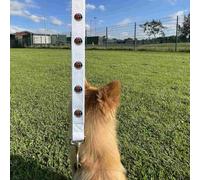 'I Love Gardening' Dog Lead/Leash (DL00025008)