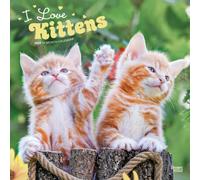 I Love Kittens 2027 12 X 24 Inch (Hanging) Monthly Square Wall Calendar Plastic-Free