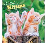I Love Kittens 2027 12 X 24 Inch (Hanging) Monthly Square Wall Calendar Plastic-Free: Original BrownTrout-Kalender [Mehrsprachig] [Kalender]