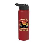 I Love My Cavalier King Charles Spaniel - Dog Lover Present Stainless Steel Insulated Water Bottle
