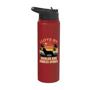 I Love My Cavalier King Charles Spaniel - Dog Lover Present Stainless Steel Insulated Water Bottle