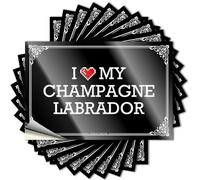 I Love My Champagne Labrador Wall Personalized - Front Door Decor Sticker Self Adhesive Sticker(6X9CM)