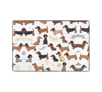 I Love My Dog Dachshunds -Print Flannel Area Rugs 36x24 Inch & 72x48 Inch with Memory Foam for Living Room Office Bedroom Non Slip Base.
