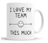 I Love My Team This Much Mug Office Employee Secret Santa Novelty Humour Funny Gift Cup Birthday Christmas Ceramic Mugs