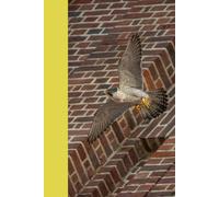 I love Peregrine falcons notepad: Peregrine falcons, perfect gift, fastest animal in the world, great for animal lovers, 120 pages