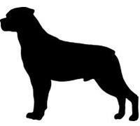 I Love Rottweiler Mens Socks, China Mug and or Coaster. Heat Pressed Novelty Gift (Socks)