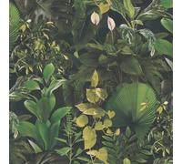 I Love Wallpaper Indoor Oasis Wallpaper In Green