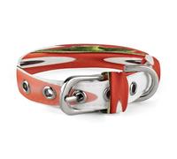 I Love You from My Head Tomatoes Dog Collar Adjustable Pet Collar Stainless Steel D-Ring Collar Oxford Cloth Cat Collar Strap with Metal Buckle for Small Medium Dog