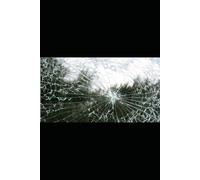 I Loved Him Anyway: A Journey of Healing and Survival