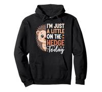 I’m Just A Little On Hedge Today Hedgehog Lover Animal Pun Pullover Hoodie