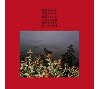I Made A Place [VINYL]