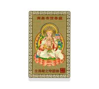 I-MART Feng Shui Amulet Card for Wallet, Chinese Lucky Charm Good Luck Charms for Protection and Wealth, amuletos de proteccion y buena suerte, tai sui amulet 2026, suerte para hombre (Snake)