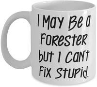 I May Be A Forester But I Can't Fix Stupid Forester Holiday Sarcastic Mug Funny Gift Ceramic Cup for Boss Friends Co-Workers 11 oz