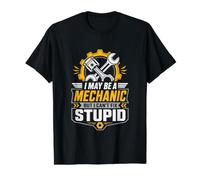 I May Be A Mechanic But I Cant Fix Stupid Value Graphic T-Shirt, Men, Black, XL