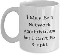 I May Be A Network Administrator But I Can't Fix Mug, Sarcastic Coffee Mug Gift Ceramic Cup for Friends 11 oz