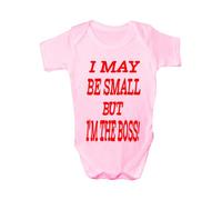 I May Be Small But I'm The Boss ~ Babygrow~Babies Gift Boy/Girl Vest Babies 3-6 pink