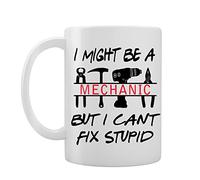 I Might Be A Mechanic But I Can't Fix Stupid - Gift Idea - Novelty Mug/Cup