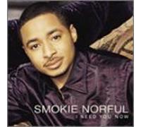 I Need You Now by Norful, Smokie (2002) Audio CD