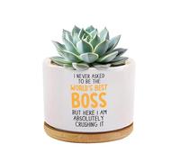 I Never Asked to Be The World's Best Boss Funny Boss Gifts Ceramic Succulent Plant Pots with Bamboo Tray Round Employee Gifts Plant Lover Home Office Decor 3.5 Inch White