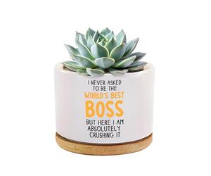 I Never Asked to Be The World's Best Boss Funny Boss Gifts Ceramic Succulent Plant Pots with Bamboo Tray Round Employee Gifts Plant Lover Home Office Decor 3.5 Inch White