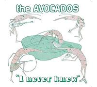 I Never Knew [7" VINYL]