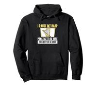 I Pause My Harp Practice To Be Here Cool Harp Player Harpist Pullover Hoodie