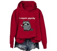 I Require Snacks Raccoon Sweatshirt I Require Snacks Shirt Funny Raccoon Pullover Hoodie