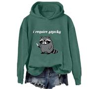 I Require Snacks Raccoon Sweatshirt I Require Snacks Shirt Funny Raccoon Pullover Hoodie