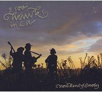 I See Hawks In L.A. - New Kind Of Lonely