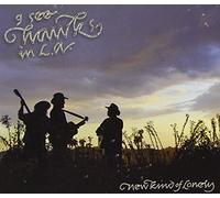 I SEE HAWKS IN L.A. - New Kind of Lonely