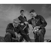 I Shot an Arrow into the Air