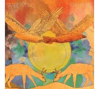 ï¾šｲï¾･ï¾Œï¾Ÿï¾-ï¾ｽï¾ž