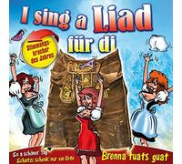 Various - I Sing a Liad Für di